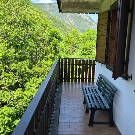 아파트 Casa Gatto *